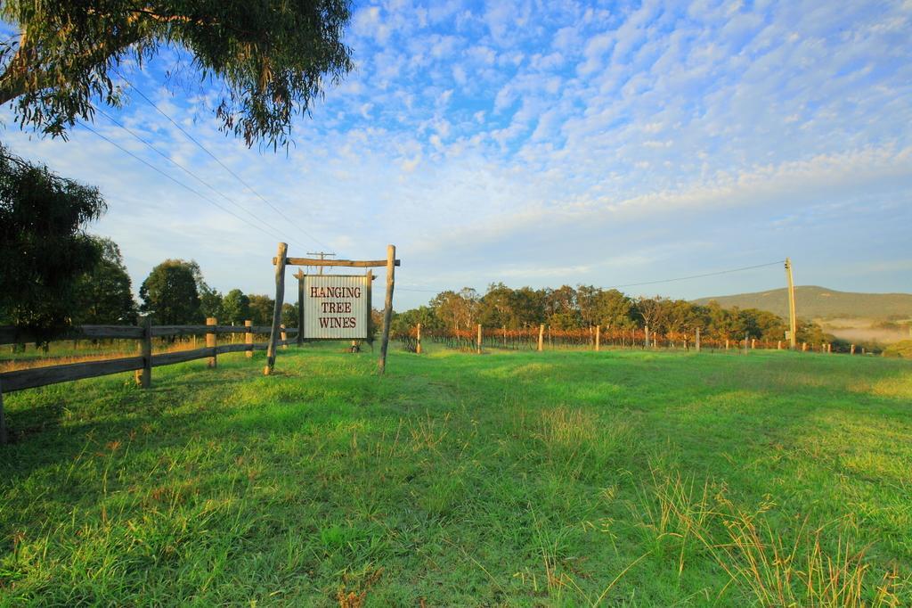 Hanging Tree Wines Pokolbin Exterior foto