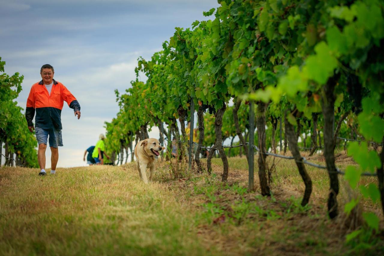 Hanging Tree Wines Pokolbin Exterior foto