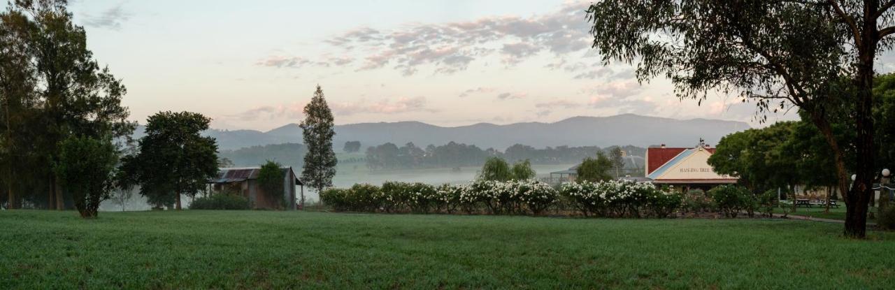 Hanging Tree Wines Pokolbin Exterior foto