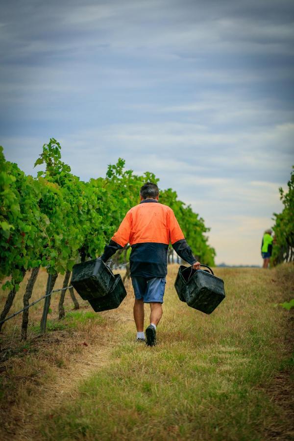 Hanging Tree Wines Pokolbin Exterior foto
